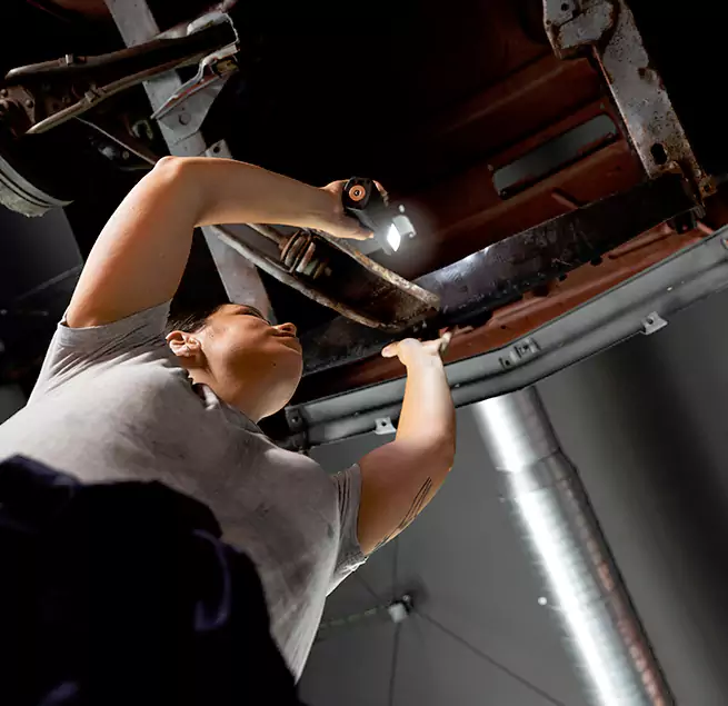 Why Homeowners & Businesses Trust Us Westchase, FL