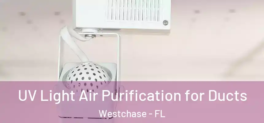 UV Light Air Purification for Ducts Westchase - FL