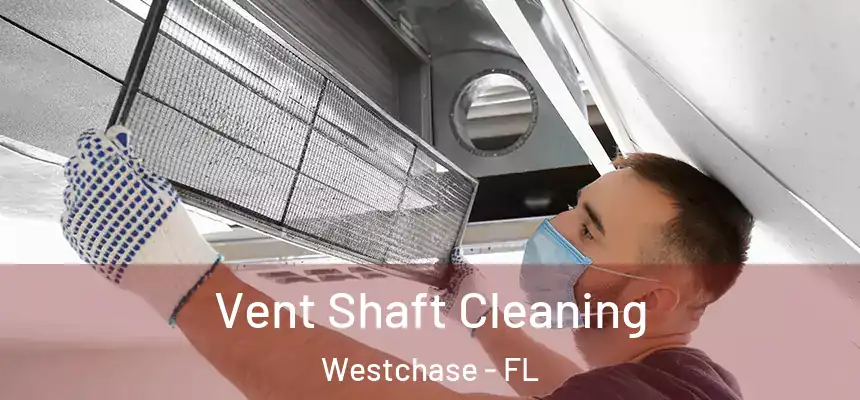 Vent Shaft Cleaning Westchase - FL