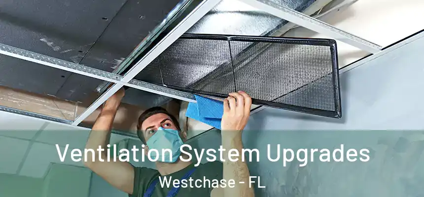 Ventilation System Upgrades Westchase - FL
