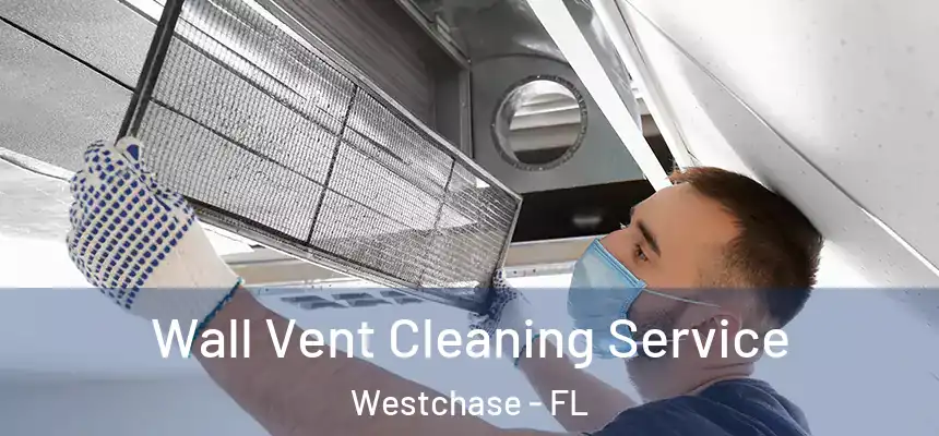 Wall Vent Cleaning Service Westchase - FL